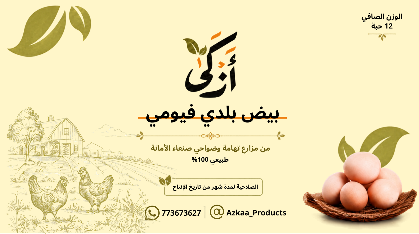 صورة منتج بيض بلدي